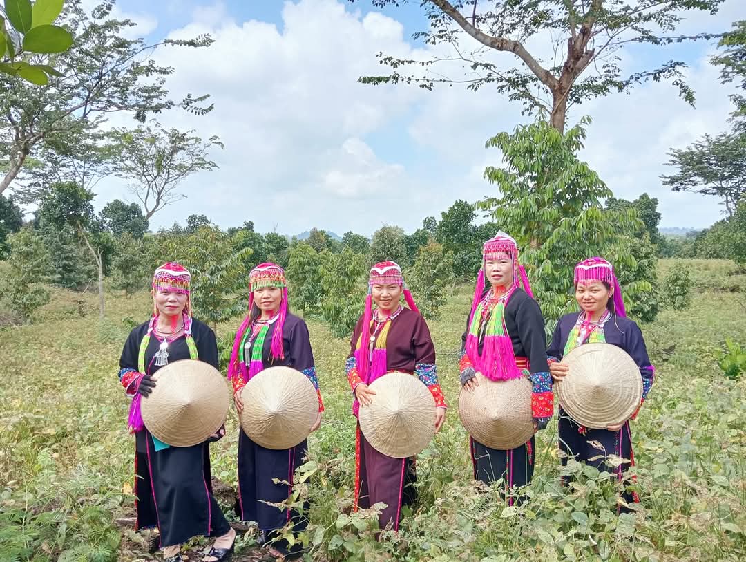 Chị Yến - Yến Lộc Rừng 1