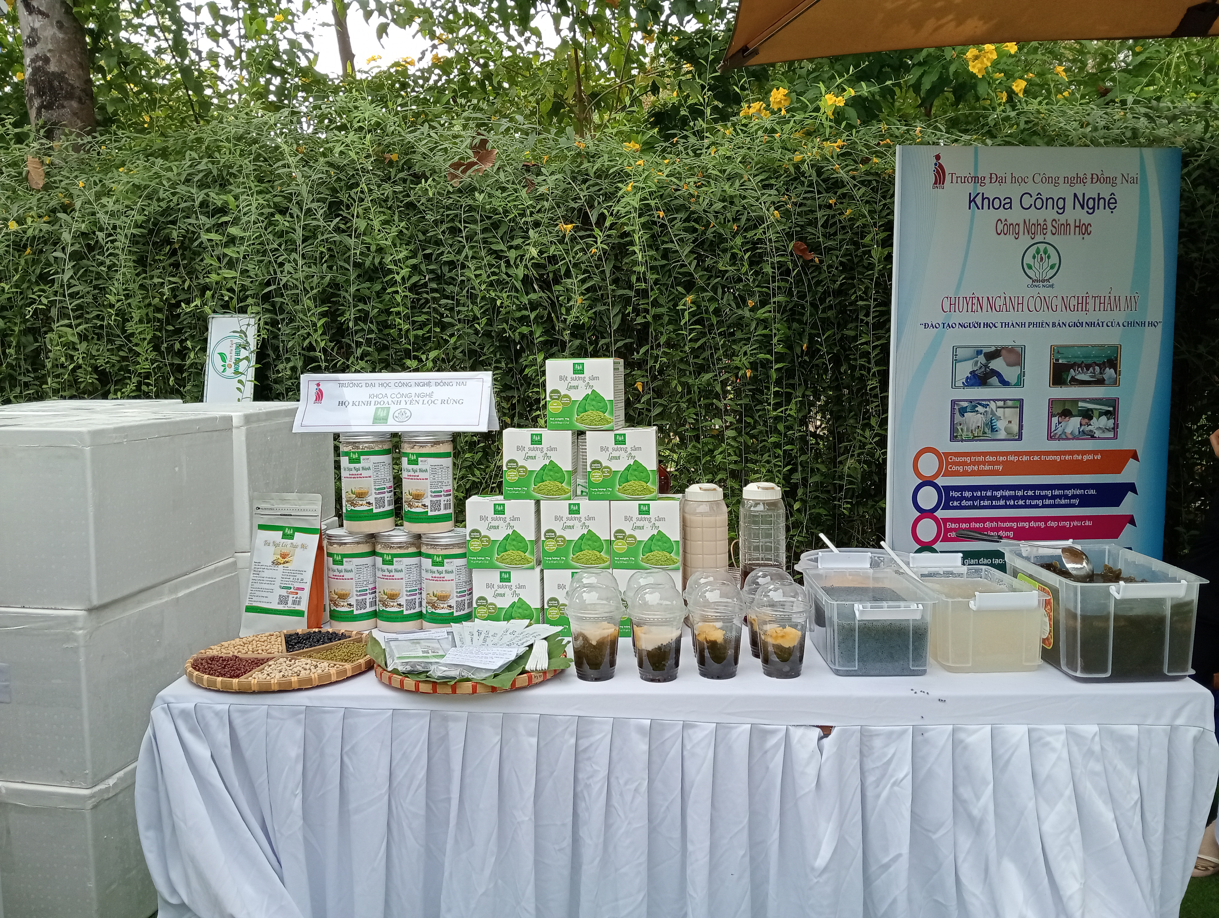 Chị Yến - Yến Lộc Rừng 5